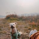 비기넨드 이미지