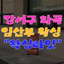강서구-36 | 32주차 임산부 출산 전 브라질리언 왁싱 해야 할까? (+ 강서구 화곡 왁싱라잇 후기)
