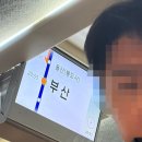 지에스25 대창 삼성점 | [부산여행] 25년을 마무리하며 떠난 다민쀼의 부산 먹방log(+이재모피자 먹어본 후기)
