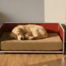 펫 하우스 이미지