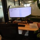 송파 공인 번역 행정사 사무소 이미지