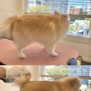 묭데이 이미지
