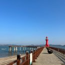 제부 포레스트 이미지