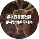 전국한우협회 연천군지부 ‘11월 1일 한우데이’ 사랑의 한우 나눔