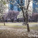 성산구 ⓒ-29 이미지