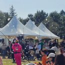 CU 속초장사항점 | 2026년 속초벚꽃축제 실시간 영랑호 벚꽃 후기 4월 11일 토 방문