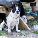 우리집첫째 이미지