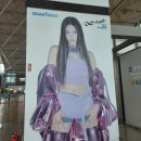 (유)아웃백스테이크하우스코리아작전점 | 에스파 페러러럴라인 오사카 콘서트 갔다온 후기