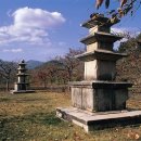 정연사