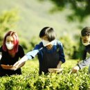 샤인민박 이미지