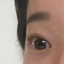 강남 속눈썹펌 추천 이화뷰티랩 후기 | 자연스러운 속눈썹펌으로 만족했던 방문기