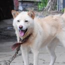 소희목장 이미지