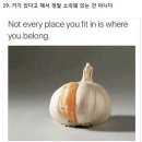 5월은 콘텐츠 홍수의 달