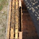 응애농원 이미지