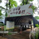 찬우농장 | 6살 아이랑 일산동물원 찬우물 먹이주기체험