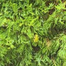 버니프렌즈호텔 이미지