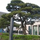 백선바오로의 집 이미지