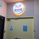 멍더가든 | 시흥 은계지구 믿고 맡길 수 있는 애견유치원/호텔 멍더가든, 내돈내산 3개월 이용후기(추천)