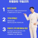 로켓트카정비센타 네이버블로그