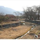 거제옥산숲 이미지