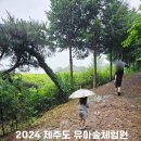 붉은오름자연휴양림 유아숲체험원 이미지