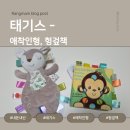 인형과 함께 | [내돈내산] 메리메이어 태기스 애착인형과 헝겊책 구매 후기
