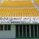 마이주주 이미지