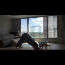 백송화장실 | [산전필테후기]백송필라테스후기_파주필라테스_운정필라테스_산전필라테스_내돈내산후기