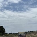 목화정육점 이미지