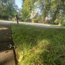 하루Dog(달이와 나나의 하루) | [캐나다 워킹홀리데이 in 밴쿠버] 보통의 일상, 워홀러의 하루