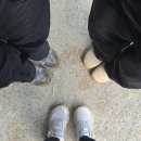[등산기록] 6월 주말 민둥산 후기 | 증산초교 코스 | 돌리네 | 페어플레이