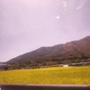 가창 송하 | 가창방문