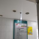 [신촌/연대] 팀플, 미팅 공간 추천 카페, 전망 좋은 카페 '히브루스'