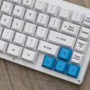 화이트폭스(WHITEFOX)