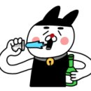 도그보니타 이미지
