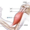 지선필라테스