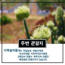 다복솔농장 이미지