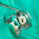 현미경치과의원 이미지