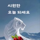 99 이미지