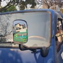 성안옛길(제1코스) | 제주 성안올레2코스 [동행 후기]｜전농로 왕벚꽃길 만개 산책과 카페 힐링