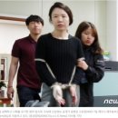 법무법인율현