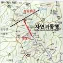 신화B/D 이미지