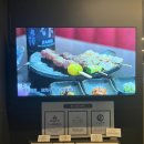 쿠시카야