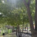 샛들민박 이미지