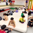 용인대 꿈나무태권도장 이미지