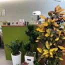 권소아과의원 이미지