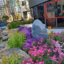 선경레이카운티부동산공인중개사사무소 이미지