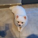 베테랑P&K 이미지