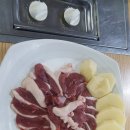 오리한마리 이미지
