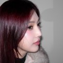 조이키